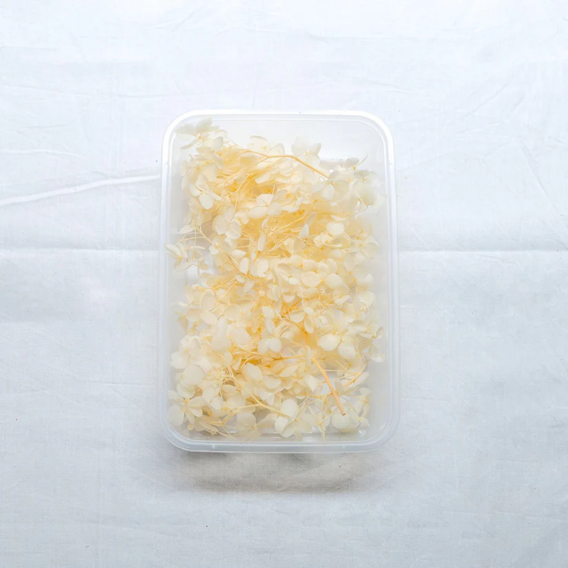 Hydrangea Dry Flower